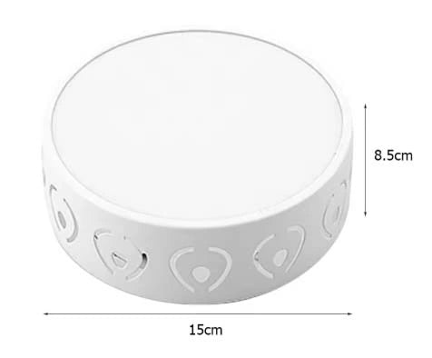 Ember Classic Ceiling Lamps