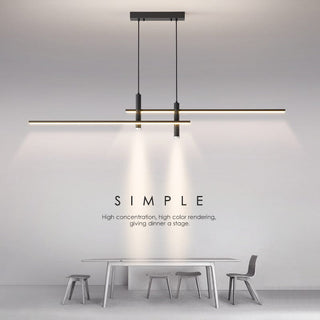 The Dual Refined Modern  Elegant Teardrop LED Pendant