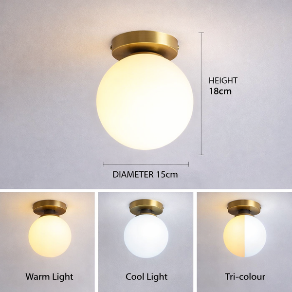 Evelyn Timeless Wall Lamps