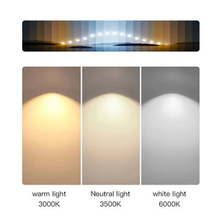 Southwark Chandelier Decorative Modern  Elegant Teardrop LED Pendant