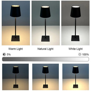 Zynella Dimmable Table Lamp Modern  Elegant Teardrop LED Pendant