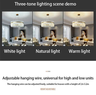 Wilmer Chandelier Premium Modern  Luxury Marble Base Table Lamp