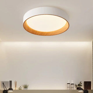 Skylar ceiling lamps set of 2 Refined Modern  Chic Glass Globe Pendant