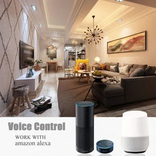 Zynella LED Downlight