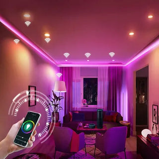 Zynella LED Downlight