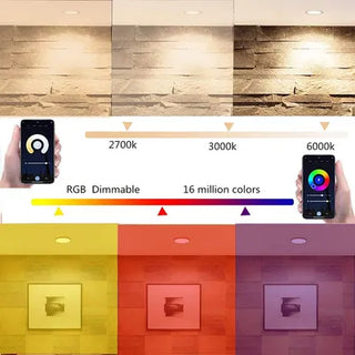 Zynella LED Downlight