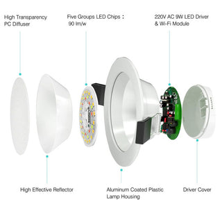 Zynella LED Downlight