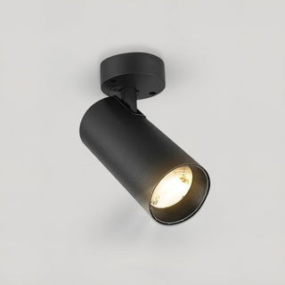 Ray Foldable 360 Spotlights Luxurious Modern  Luxury Gold Frame Light Fitting
