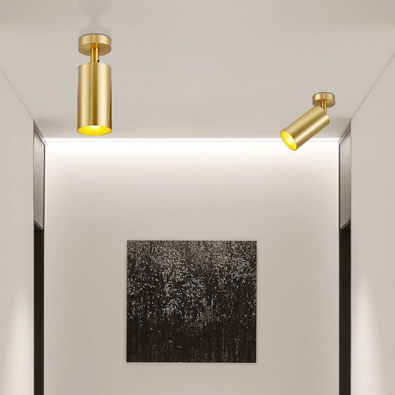 Zynella Modern LED Spotlights