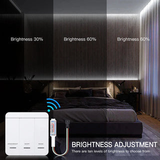 Zynella Wall 10 meter LED Strip Light Opulent Modern  Contemporary Crystal Statement Fixture