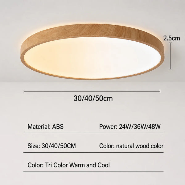 The Elmora Ceiling Lamp