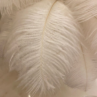 Luxury LED Feather Lamp Modern  Elegant Teardrop LED Pendant