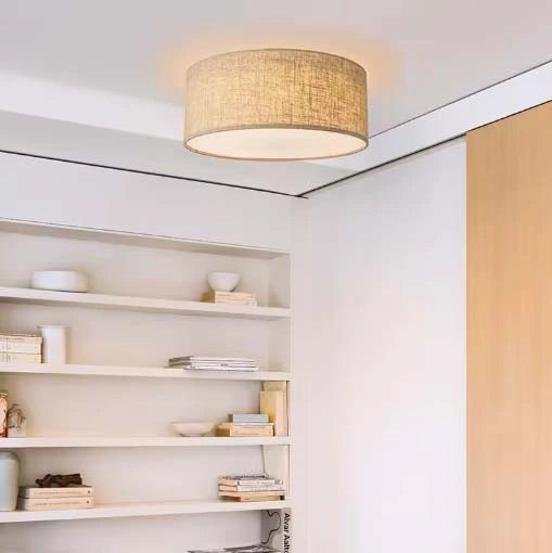 Nordic LED Ceiling Lamp