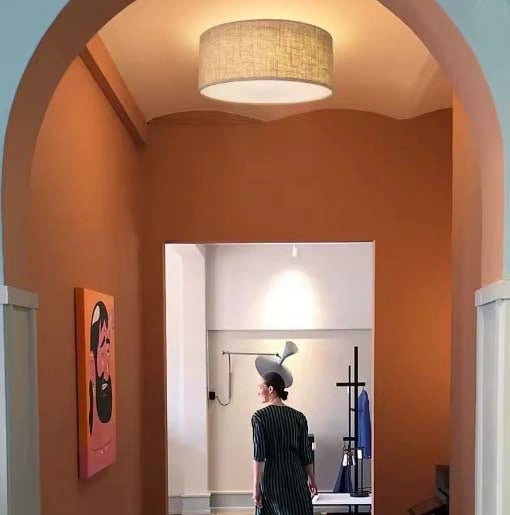 Nordic LED Ceiling Lamp