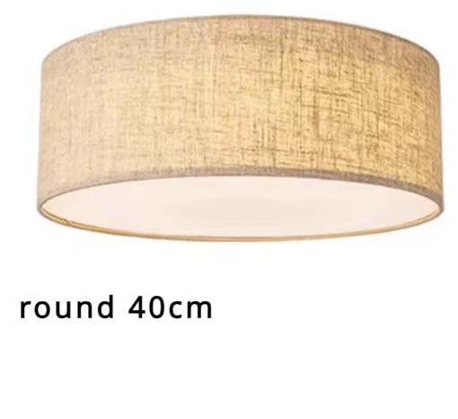 Nordic LED Ceiling Lamp