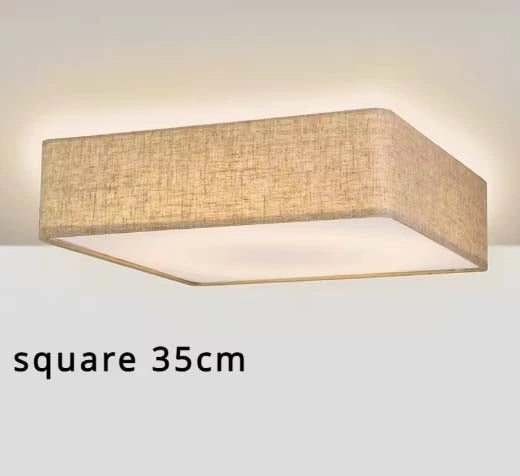 Nordic LED Ceiling Lamp