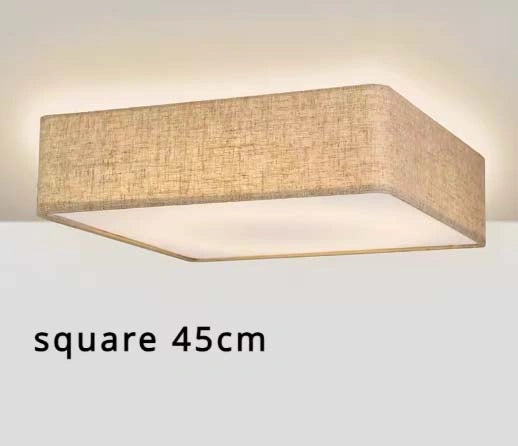 Nordic LED Ceiling Lamp