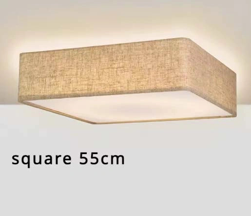 Nordic LED Ceiling Lamp