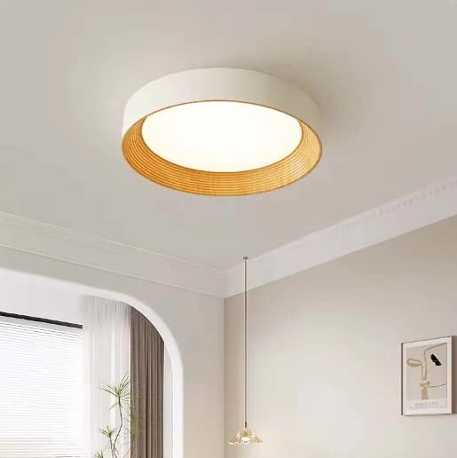 Minimal Luxe Ceiling Light