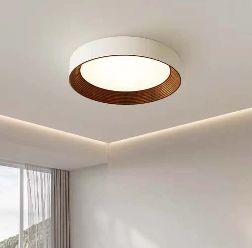 Minimal Luxe Ceiling Light