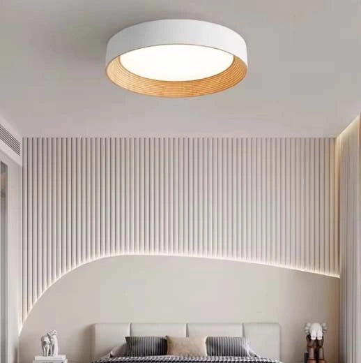 Minimal Luxe Ceiling Light
