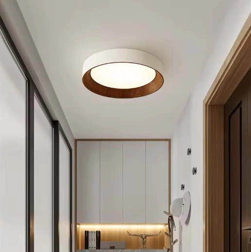 Minimal Luxe Ceiling Light