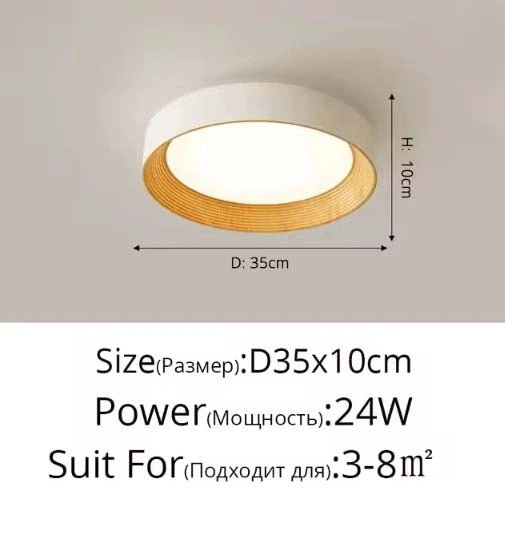 Minimal Luxe Ceiling Light