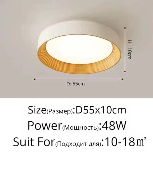 Minimal Luxe Ceiling Light