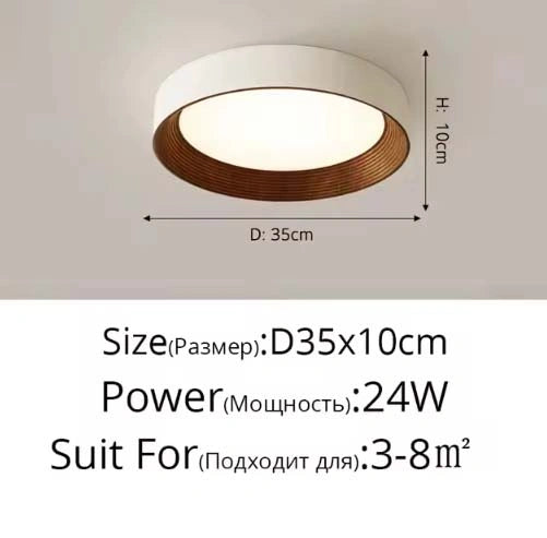 Minimal Luxe Ceiling Light