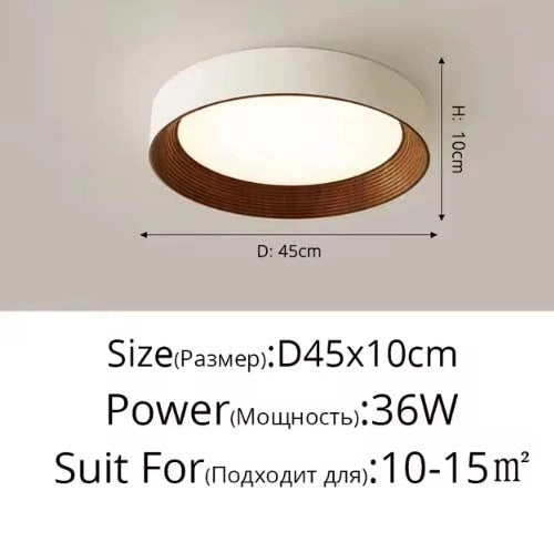 Minimal Luxe Ceiling Light