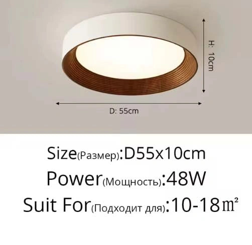 Minimal Luxe Ceiling Light