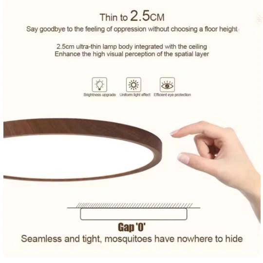 The Elmora Ceiling Lamp