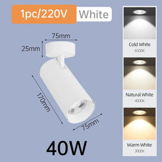 Ray Foldable 360 Spotlights Luxurious Modern  Luxury Gold Frame Light Fitting
