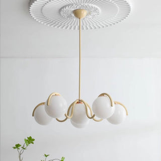 Scarlet Curve Glass Globe Fixture Stylish Modern  Elegant Teardrop LED Pendant