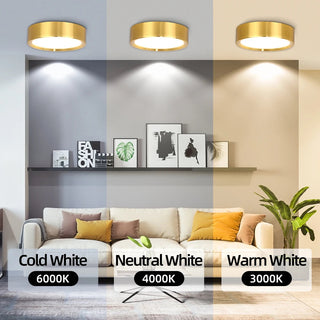 Orimex Ceiling Spot Light Decorative Modern  Elegant Teardrop LED Pendant
