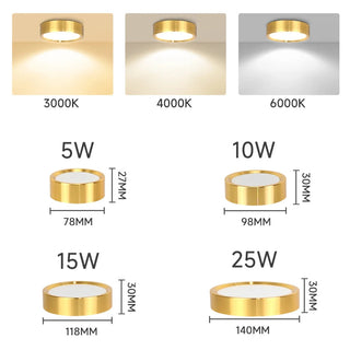 Orimex Ceiling Spot Light Decorative Modern  Elegant Teardrop LED Pendant