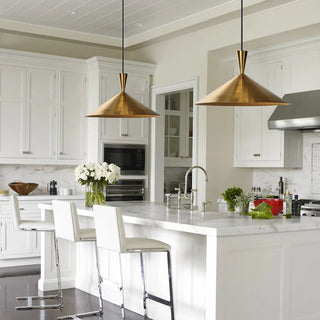 Brass Pendant Light Modern  Elegant Teardrop LED Pendant