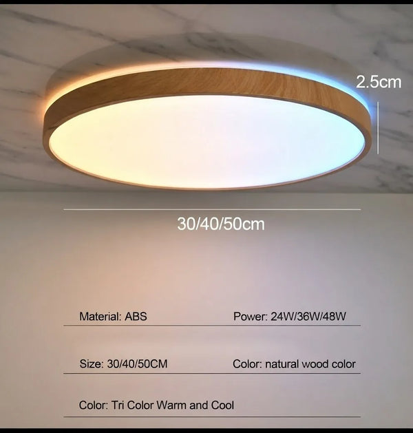 The Elmora Ceiling Lamp