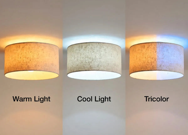 Zenora Rice Paper Ceiling Lamp